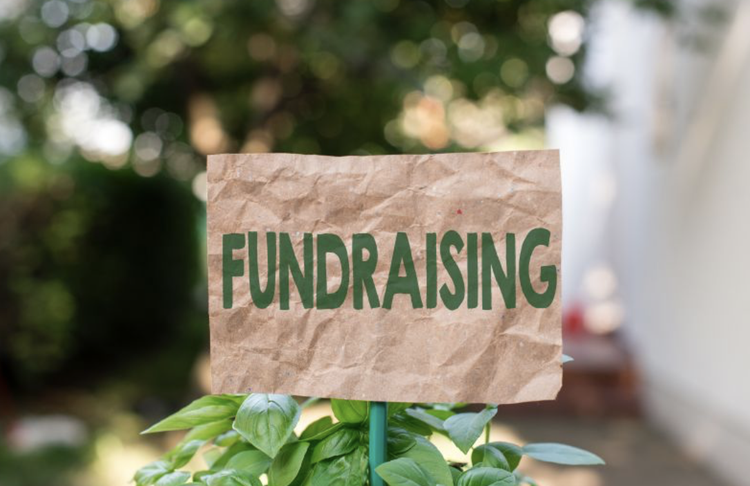Pulse Cashflow Fundraising Challenge 2024