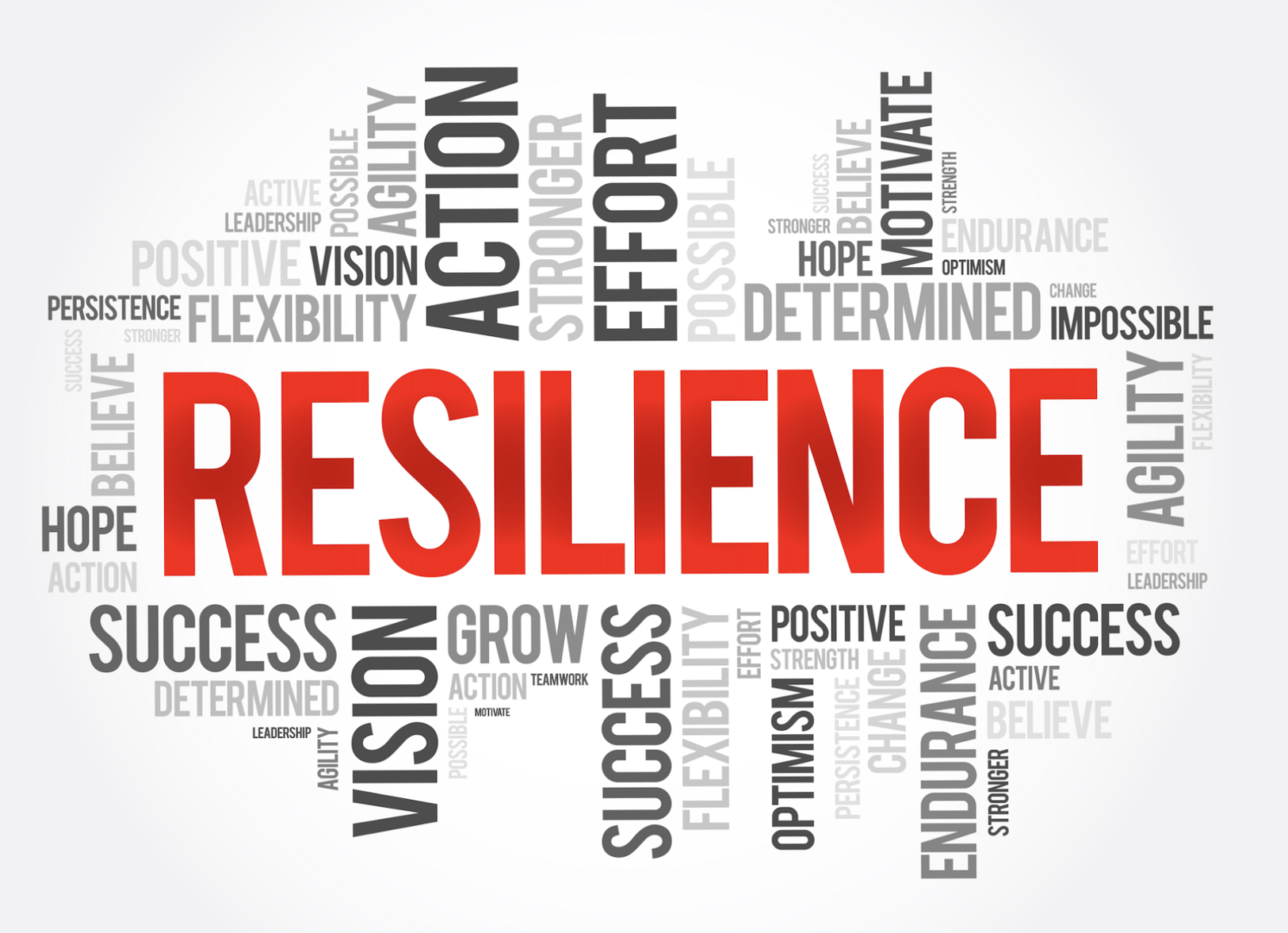 resilience-in-business-thriving-despite-challenges-2